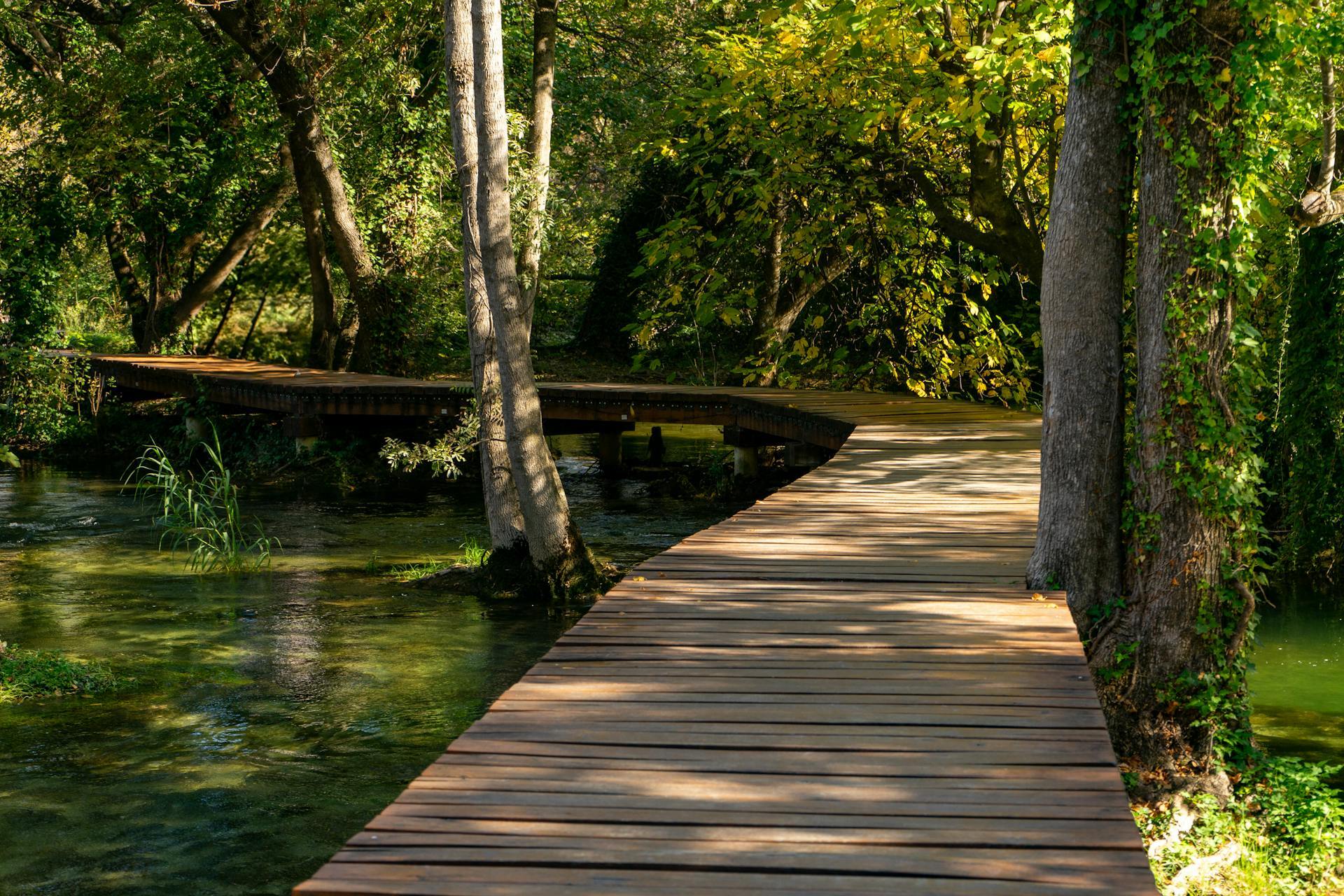 Brücke - Pexels olivers