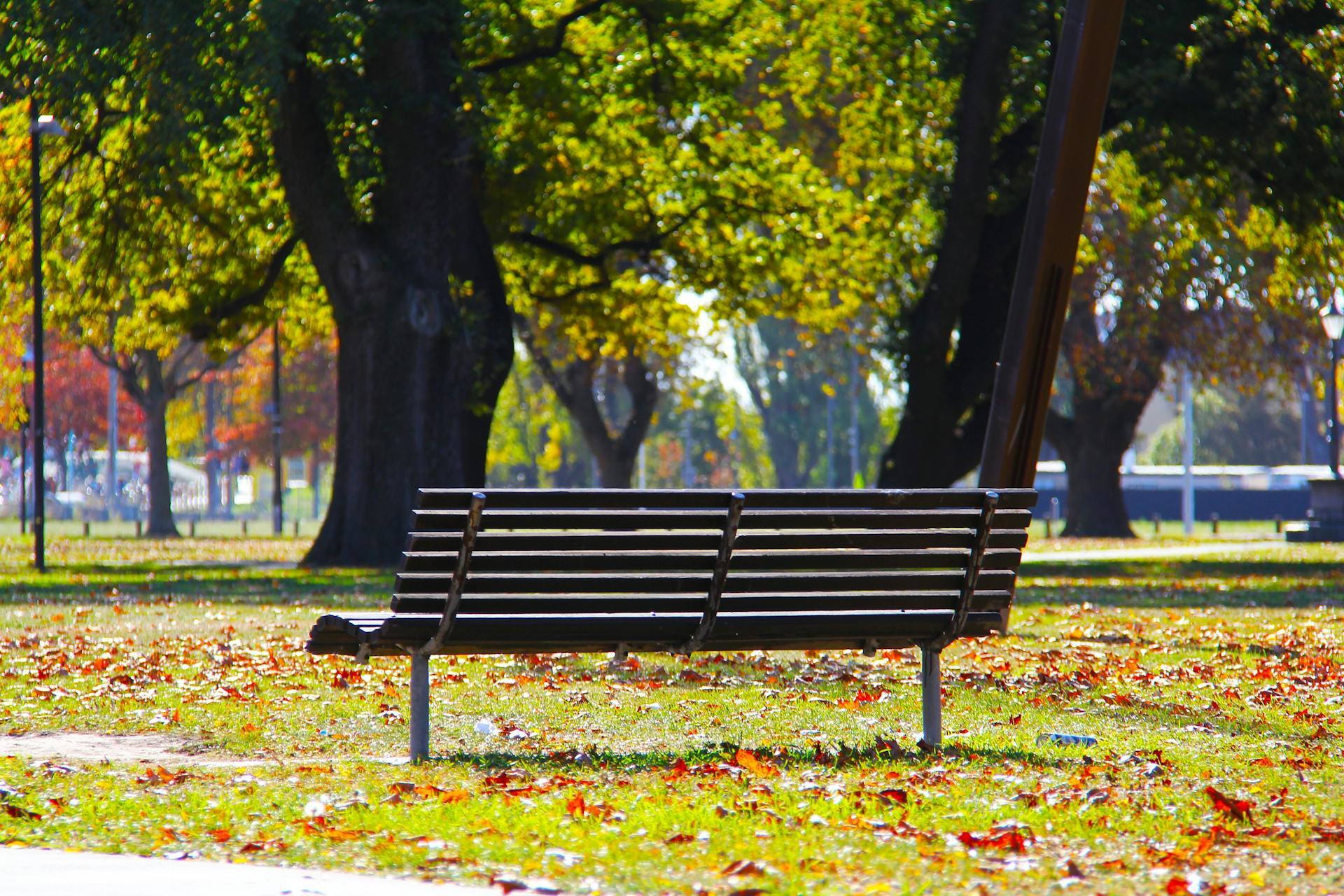 Stadtpark - Pexels pixabay